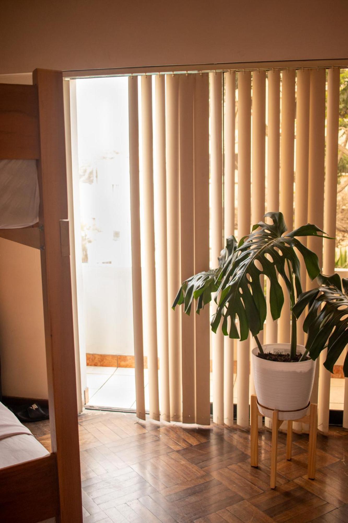 Temazcal Hostel Lima Kültér fotó
