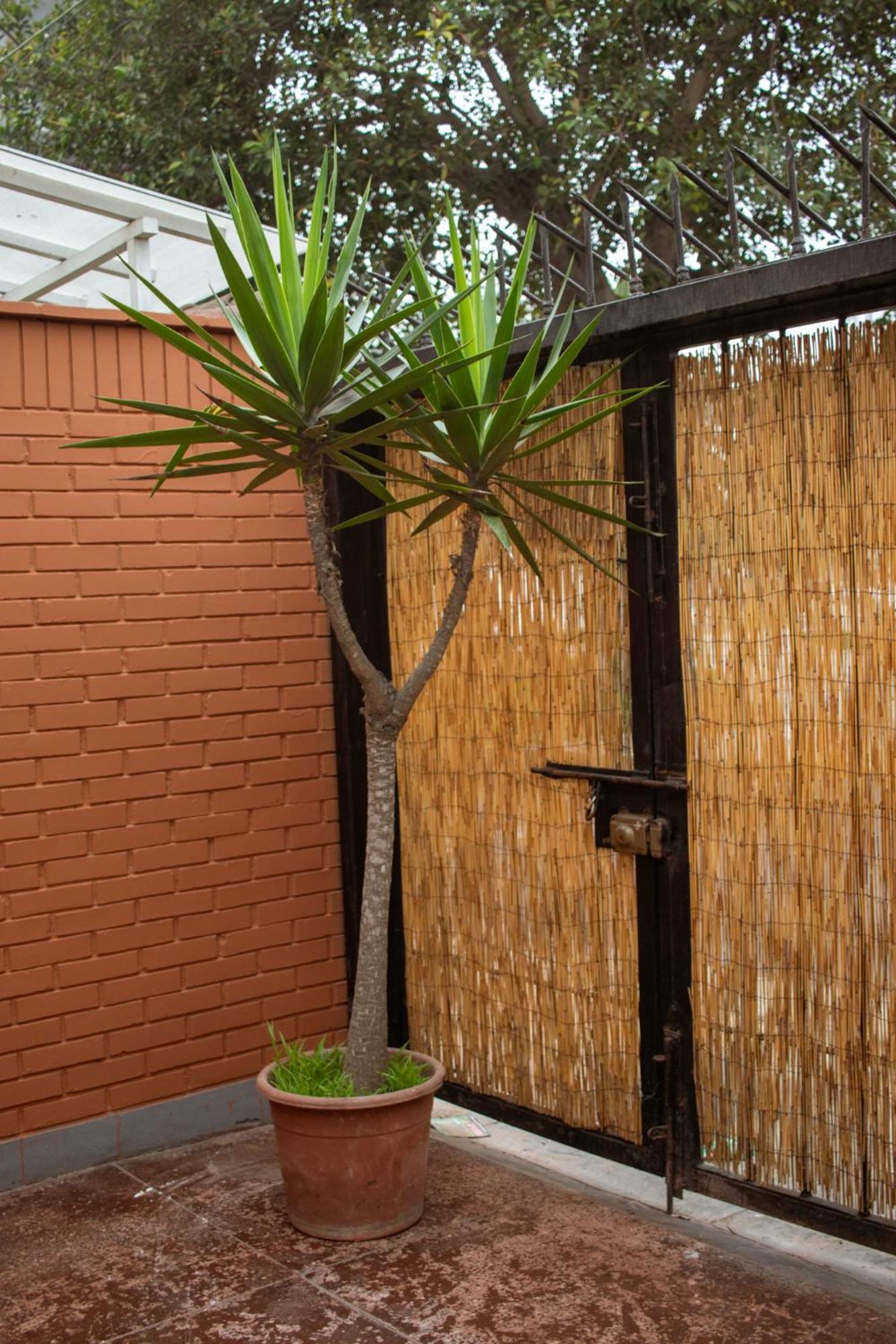 Temazcal Hostel Lima Kültér fotó